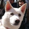 Yeajin Jang