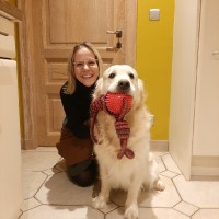 Stephanie Vandersteen