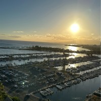 Angelique Cummings