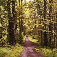 Marlene Wiedenbaum, PSA-MP