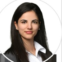 Lisandra N. Hernandez