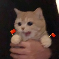 黄天怡