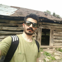 Ali Shams
