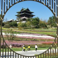 刘瑞学