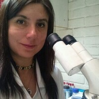 Karen Navarrete Morales