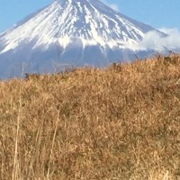 Tsunehiro Rokujo