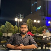 Amirhossein Hamidi