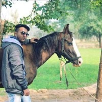 Darshil Parmar