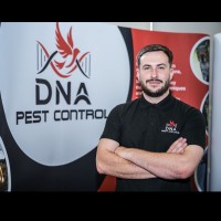 Dan Stanley