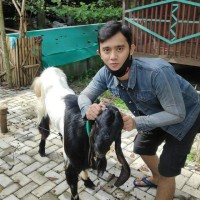 Widianto .