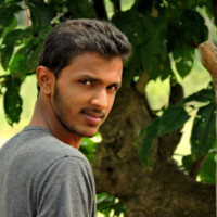 Srinandan Udupa