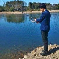 阿拉木斯
