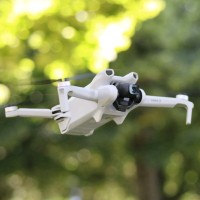 Cynthia Schildknecht