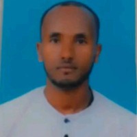 Hailu Birhanu