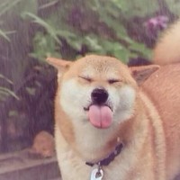 吴建成