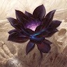 Eddy Wan
