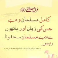 Meenal Shakeel