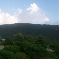 Hasan Sk