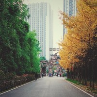 吴浩楠