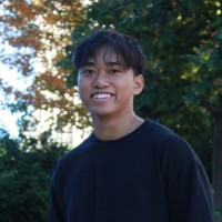 Vincent Dinh-Vien Duong