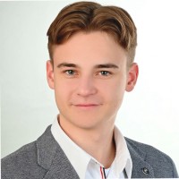 Niklas Beer