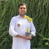 Zeeshan Zafar