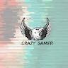 CRAZY GAMER