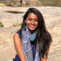 Srinidhi Narayanan