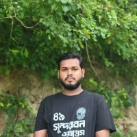 Roman Hamid