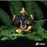 Devi Devi