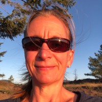 Jill Bellm