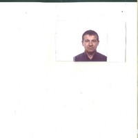 mauro vignoli