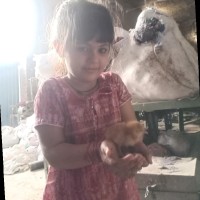 Kamran Saleem