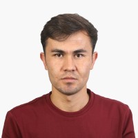 Mohammad Atapour