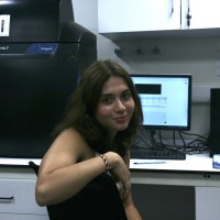 Defne Tiftikcioglu