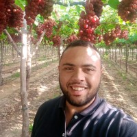 Ebrahem Hassan