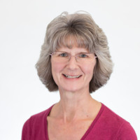 Lisa Minges