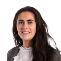Daniëlle De Vries Lentsch - Veldhoen