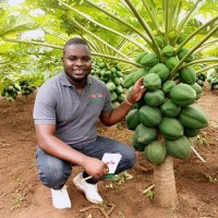 Benjamin Kimanzi