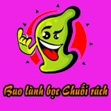 Baocaosuhp Hải Phòng