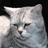 Heike S