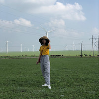 王小栋