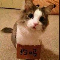 张朋生