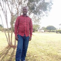 Mbogo Mwaniki