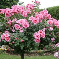 Công ty Kiến Trúc