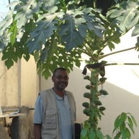 Adil Gadalla