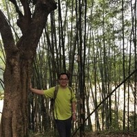 andy gui