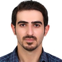 Hamid Mohseni