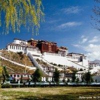 山绿水