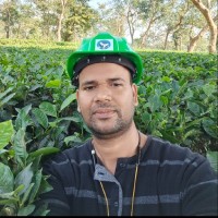 Tufail Alam